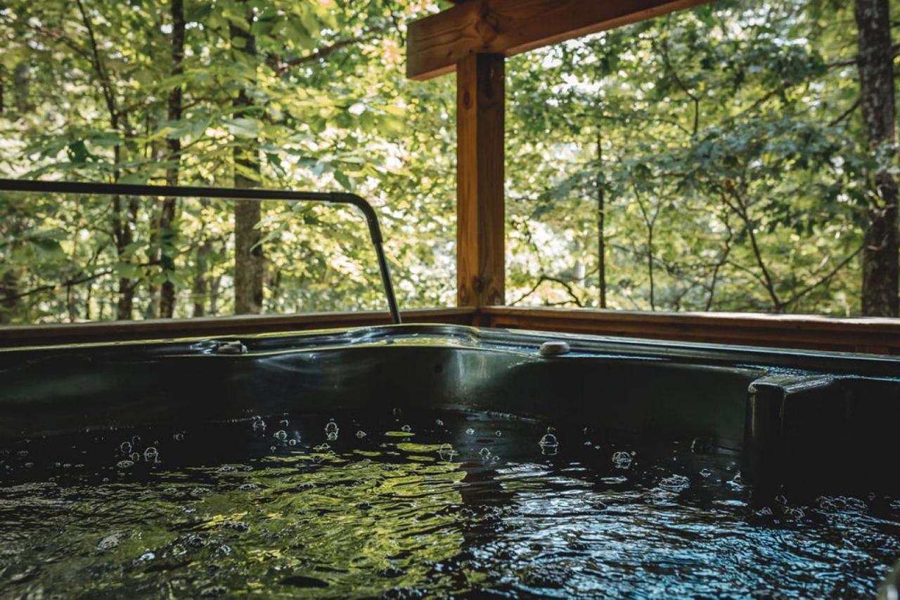 Blueberry Hideaway At 36 North Cabin - Hot Tub Purlear Kültér fotó